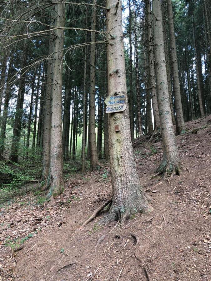 Le Cottage Du Raidillon マルメディ エクステリア 写真